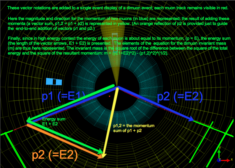 Vectors